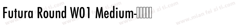Futura Round W01 Medium字体转换